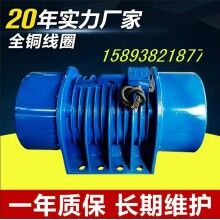 ZDS-50-6三相振動(dòng)電機(jī) 6級(jí)3.7KW全銅線(xiàn)圈